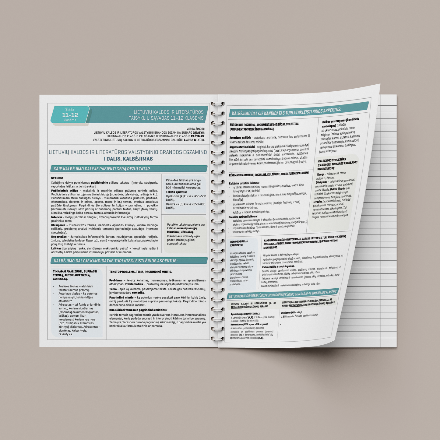 Formula notebook for the Lithuanian language DISCO, 50 sheets, lines, with spiral