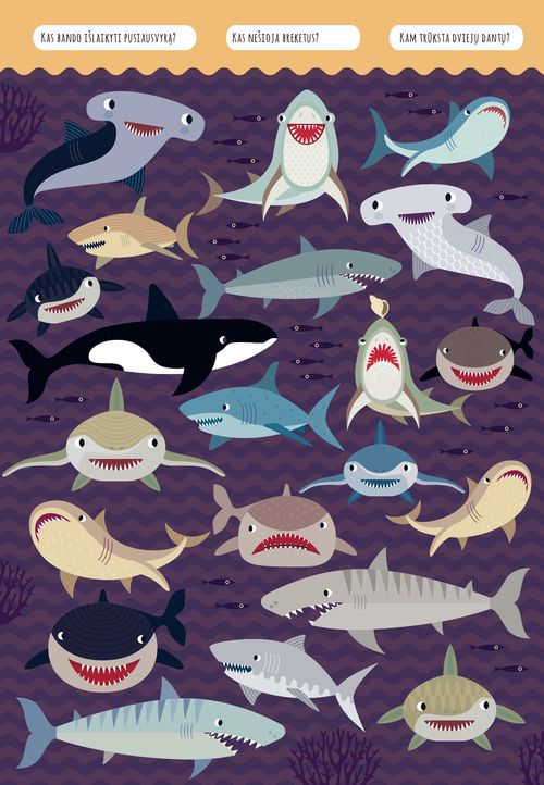 Task book "Find me! The adventures of Bernard the Wolf by the sea" (with defect)