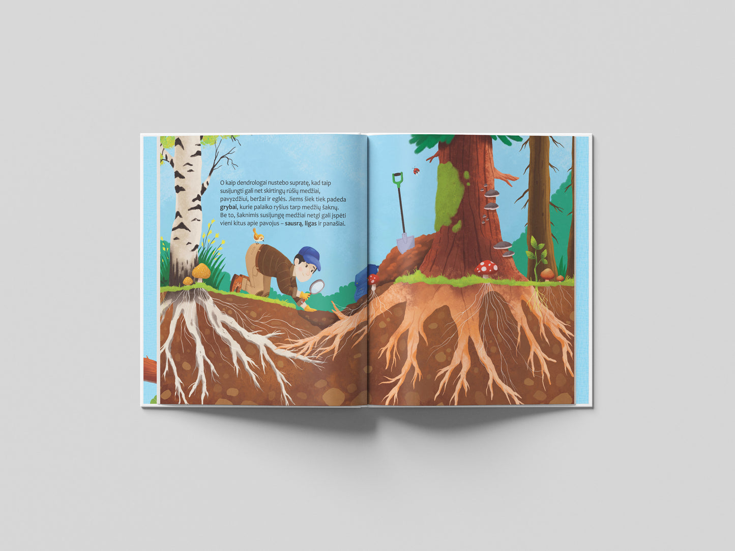 The Big Questions Answered. Can Trees Talk to Each Other?