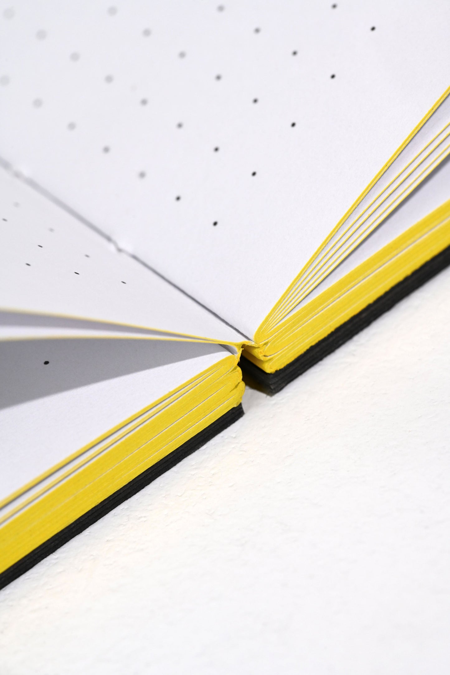 (W)hole notebook
