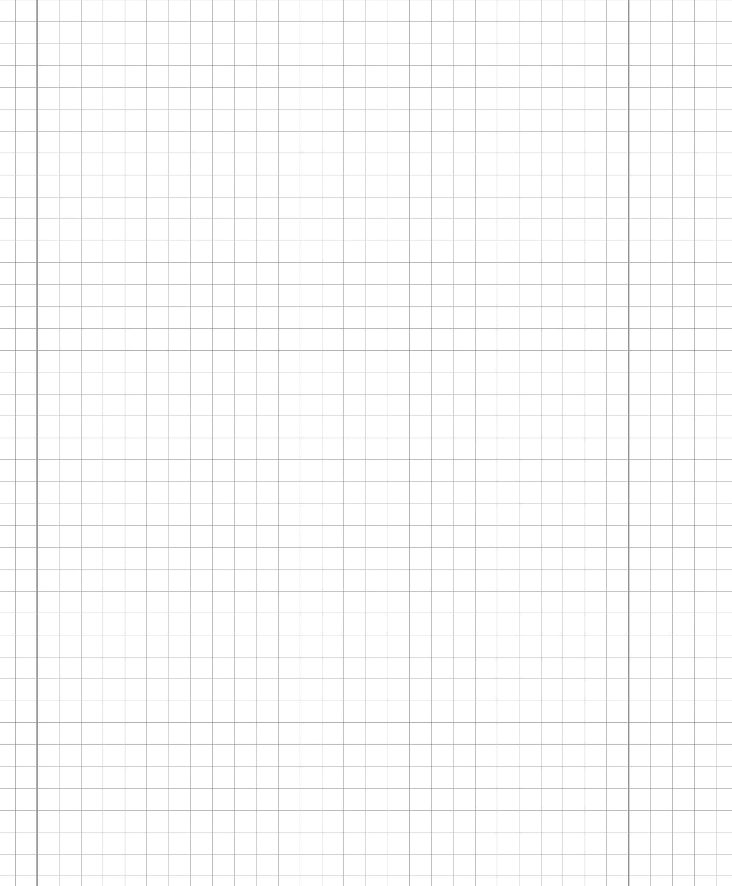 Ruffles notebook DISCO, for grades 2-4, 12 sheets, squares