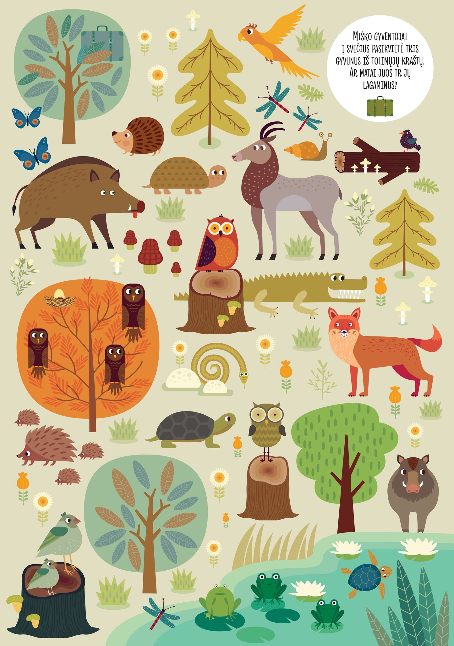 Activity book "Find me! The adventures of Bernard the Wolf in the forest" (with defect)