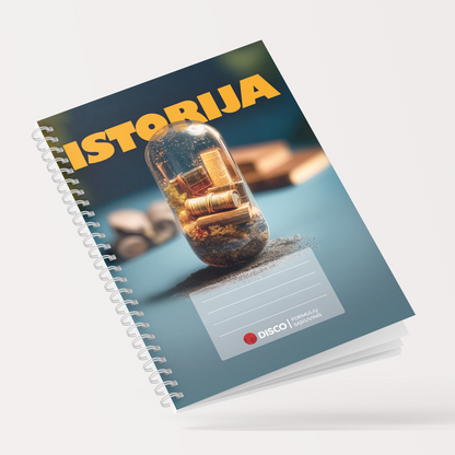 Formulių sąsiuvinis istorijai, 50 l., langeliais, su spirale