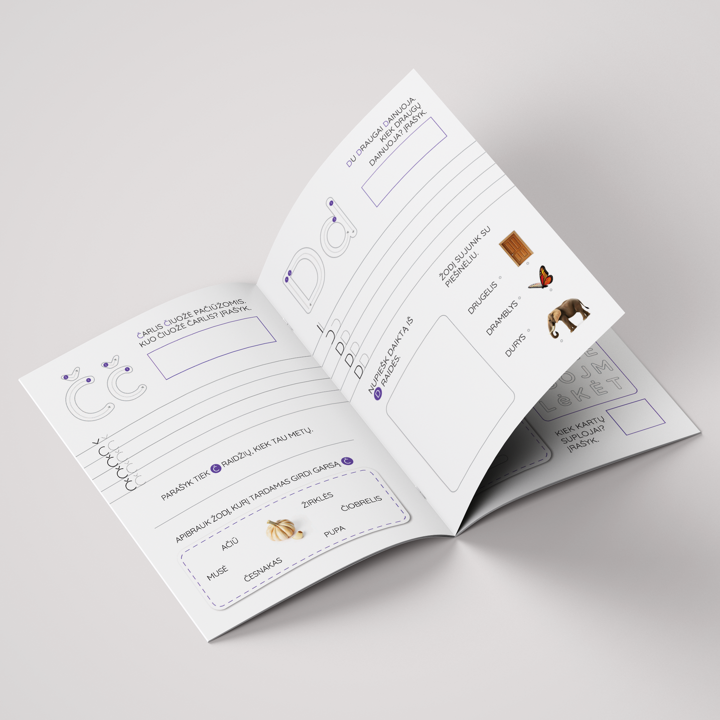 Raidžių mokyklėlė