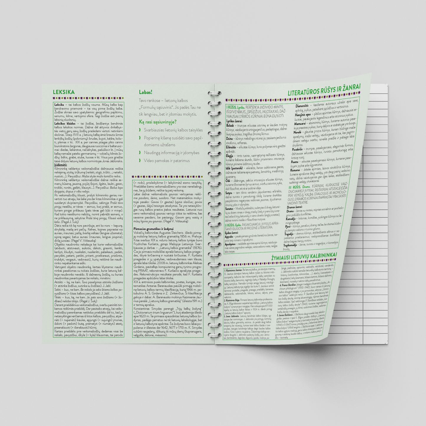 Formula notebook for the Lithuanian language, 50 sheets, lines, with spiral