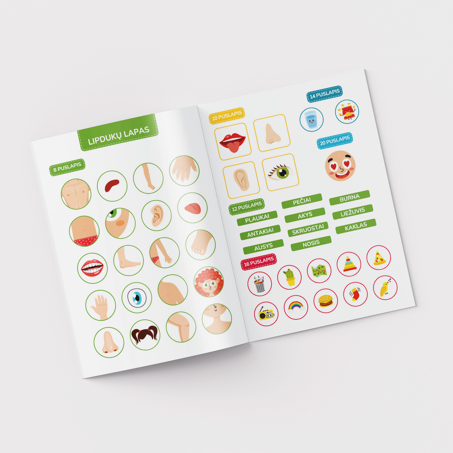 Workbook. ABC of my body