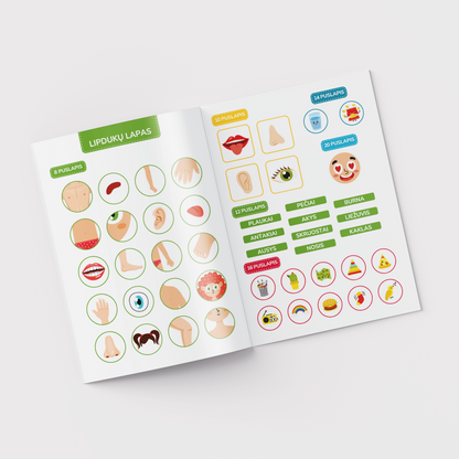 Workbook. ABC of my body