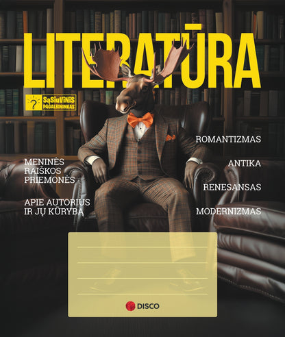 Sąsiuvinis-pagalbininkas lietuvių literatūrai DISCO, 32 l., linijomis