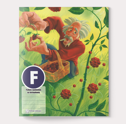 Formulių sąsiuvinis, Fizikai, 38l., langeliai