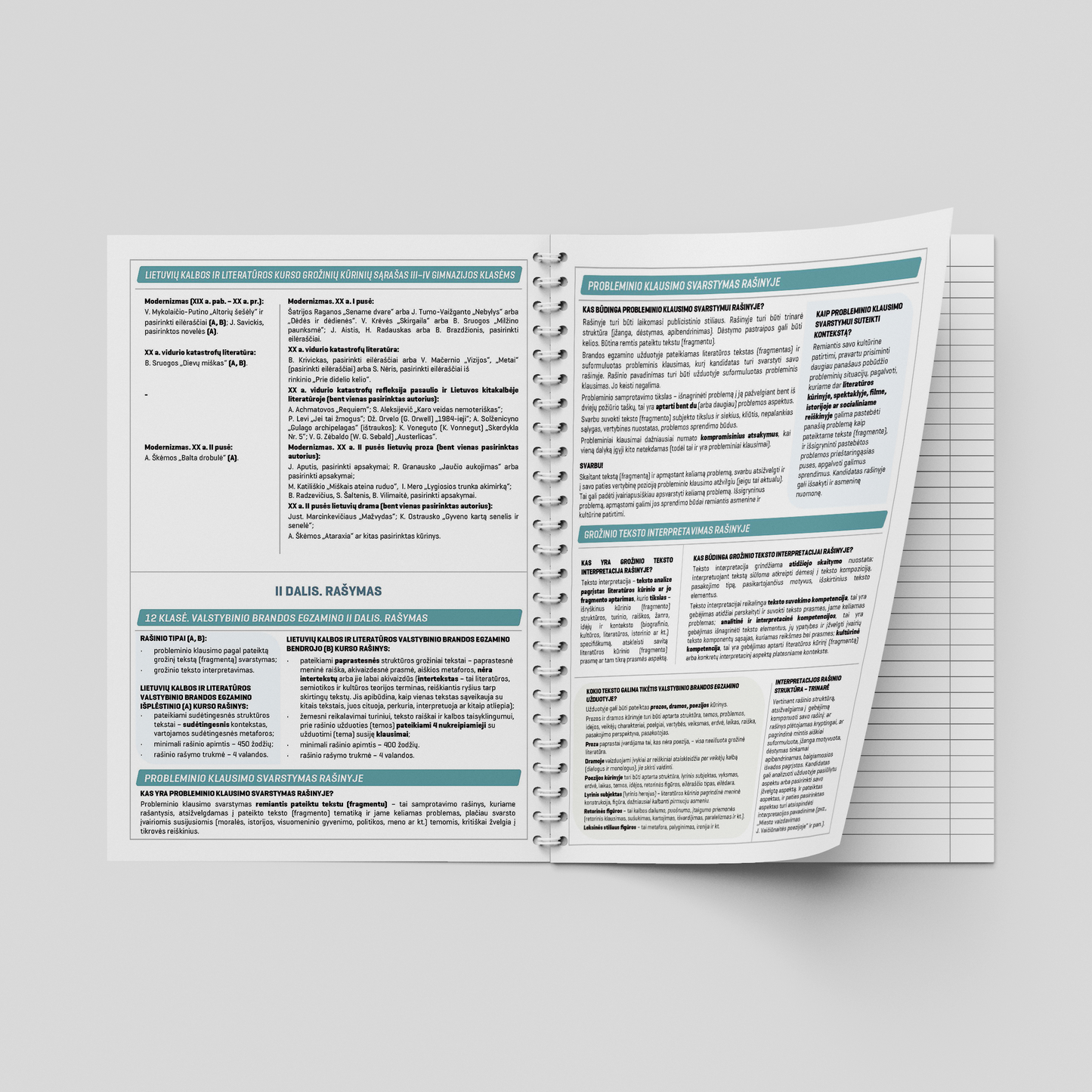 Formula notebook for the Lithuanian language DISCO, 50 sheets, lines, with spiral