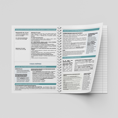 Formula notebook for the Lithuanian language DISCO, 50 sheets, lines, with spiral