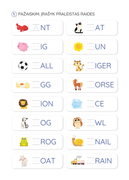 Activity book. Hand training 