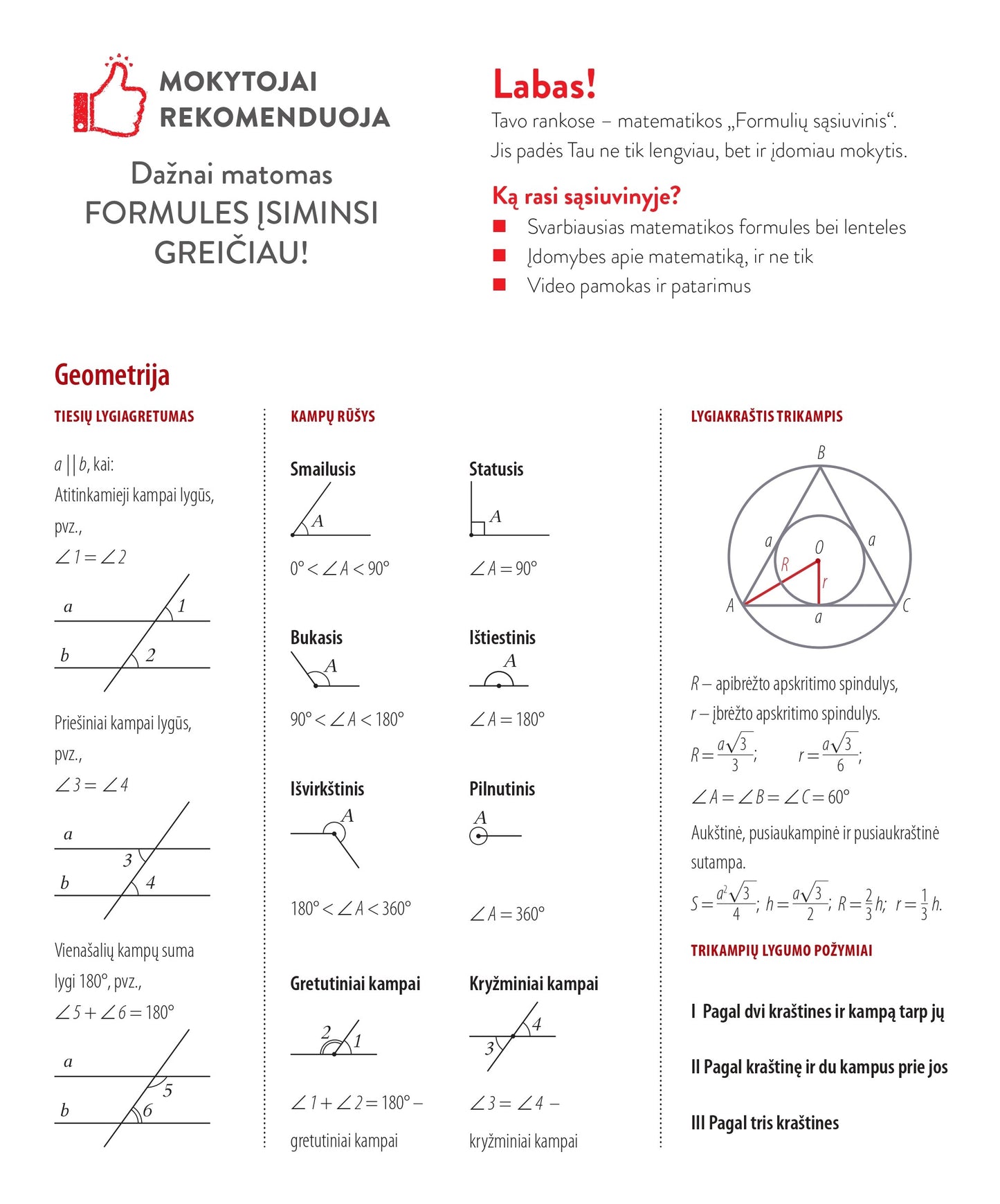 Formulių sąsiuvinis matematikai DISCO, 38 l., langeliais