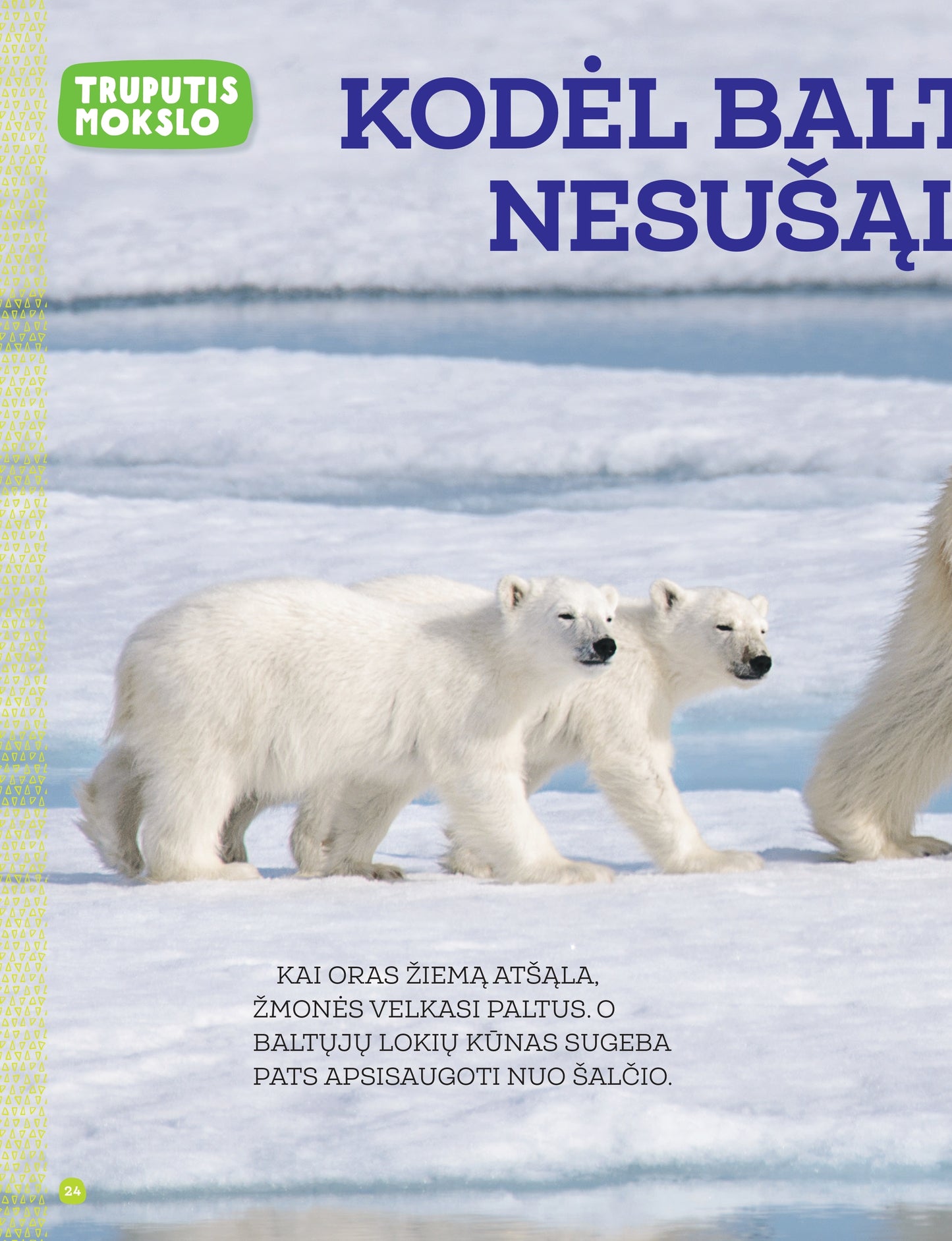 Edukacinis vaikiškas žurnalas. Labukas!