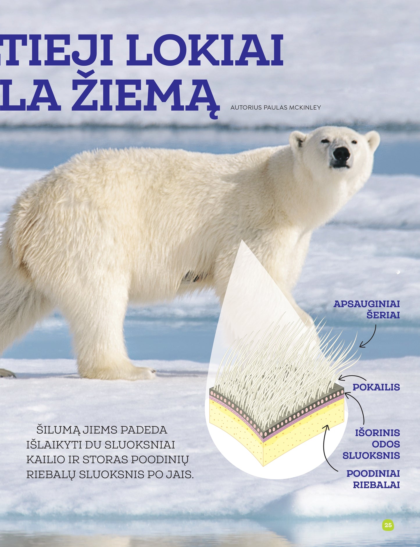 Edukacinis vaikiškas žurnalas. Labukas!