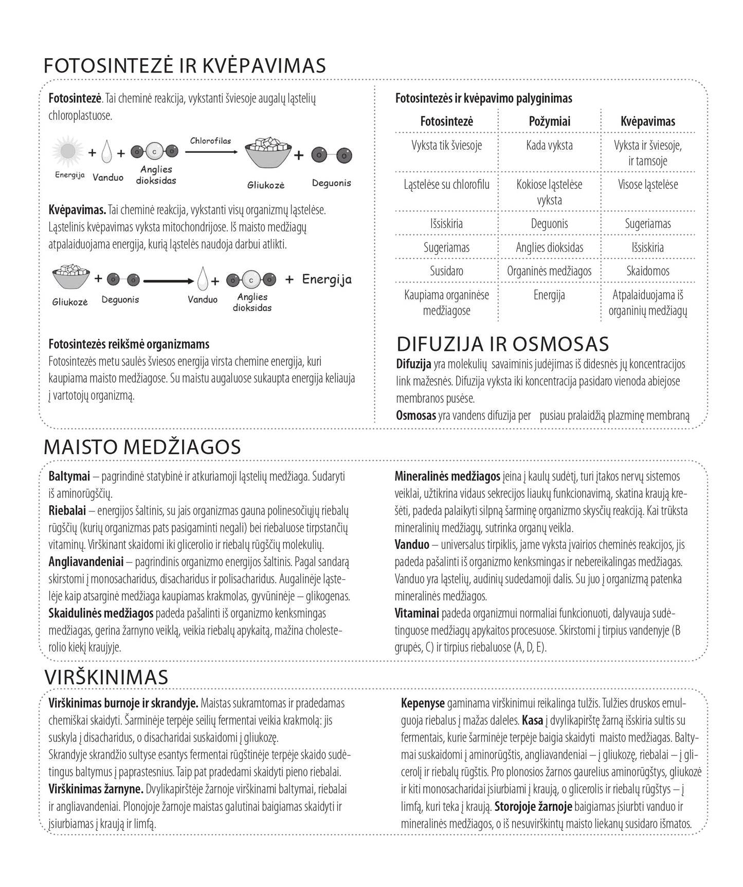 Sąsiuvinis-pagalbininkas biologijai DISCO, 32 l., langeliais